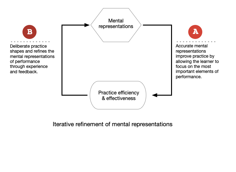 Mental representations and deliberate practice - The Suzuki Experience