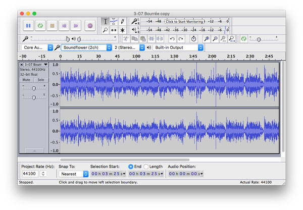 File opened in Audacity